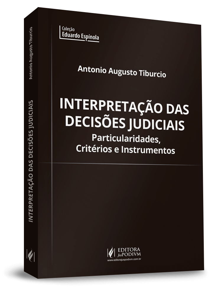 Interpretação das Decisões Judiciais: Particularidades, Critérios e Instrumentos 
