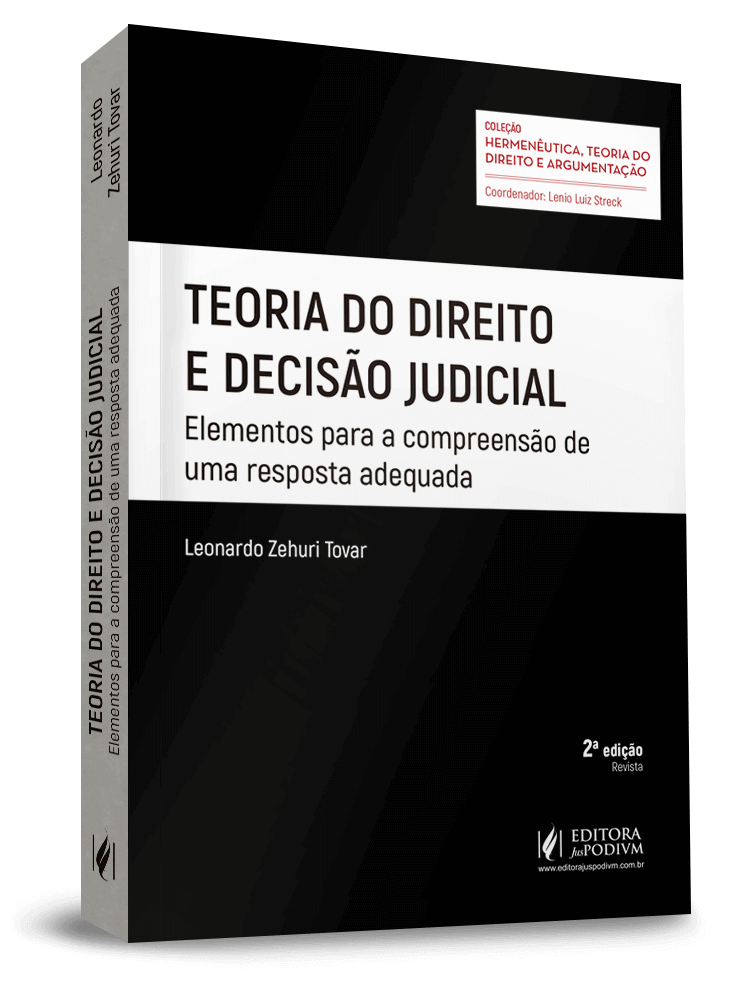 Teoria do Direito e Decisão Judicial: Elementos para a Compreensão de uma Resposta Adequada 