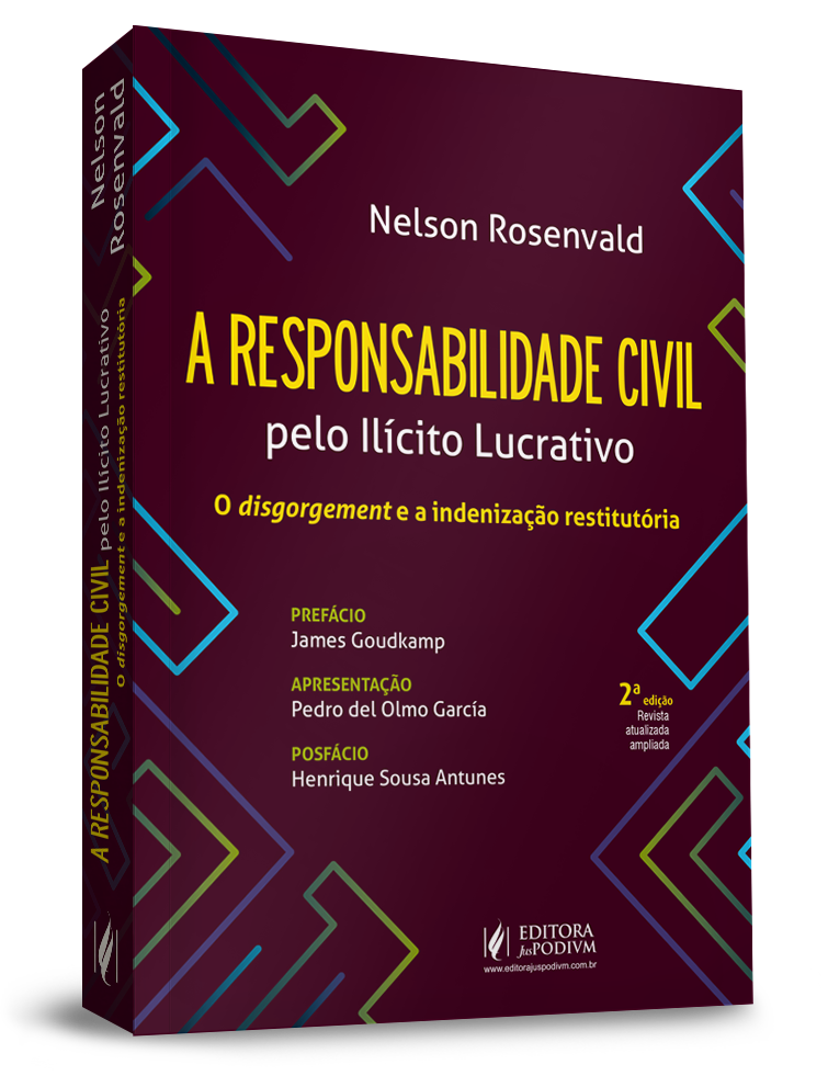 A Responsabilidade Civil pelo Ilícito Lucrativo